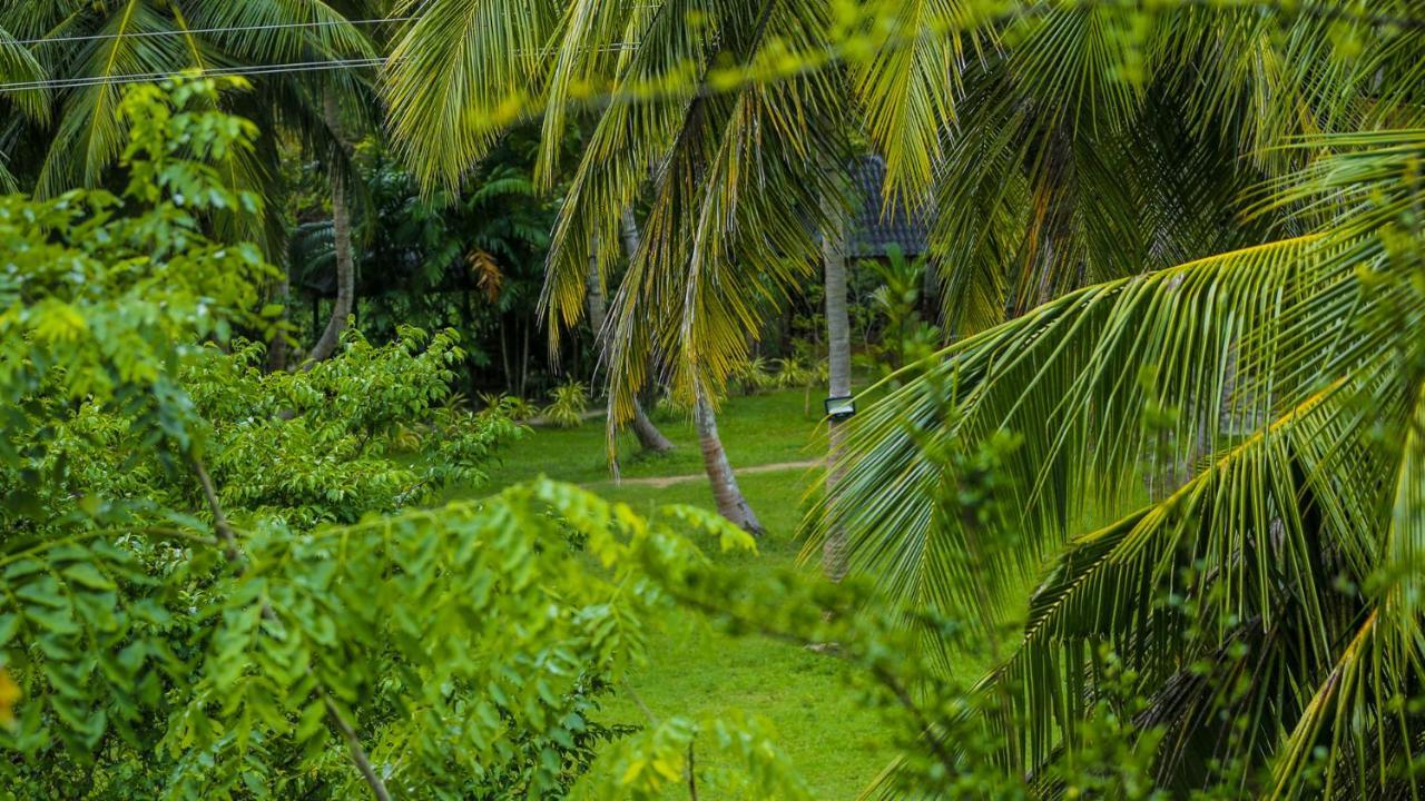 Silver Crown Nature Resort Anuradhapura Exterior photo